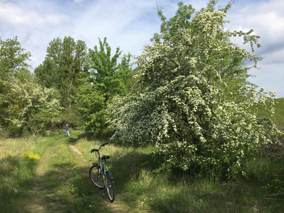 Agroturystyka Kobylnica Nad Wisla Extérieur photo