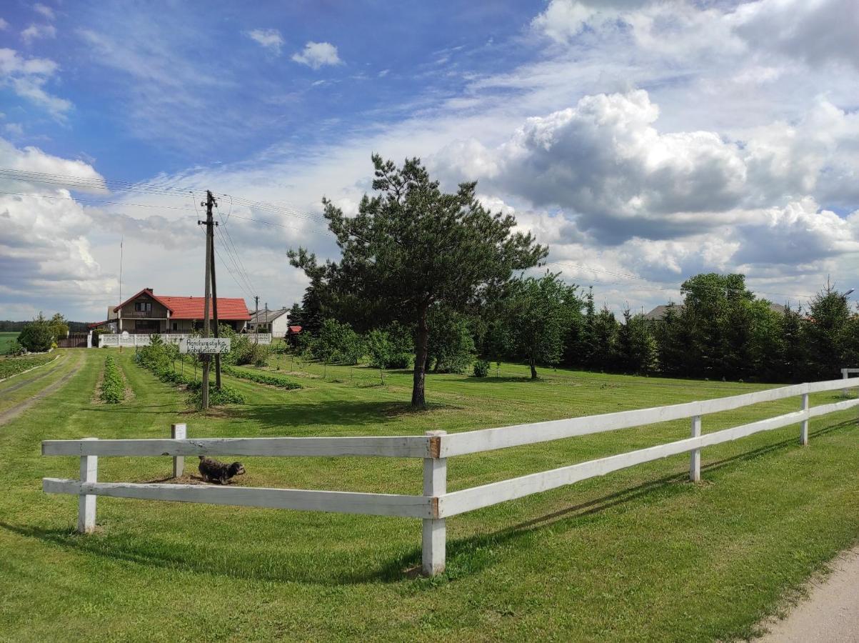 Agroturystyka Kobylnica Nad Wisla Extérieur photo