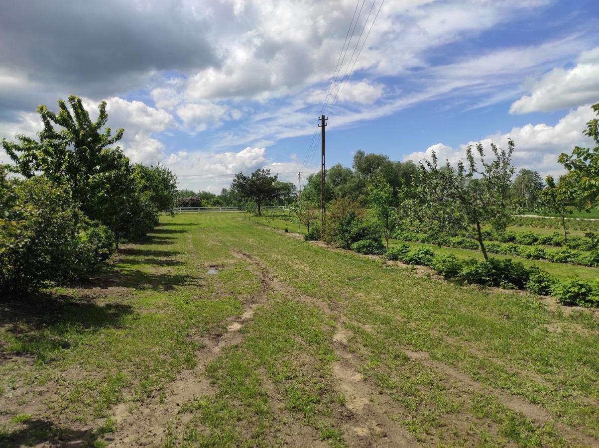 Agroturystyka Kobylnica Nad Wisla Extérieur photo
