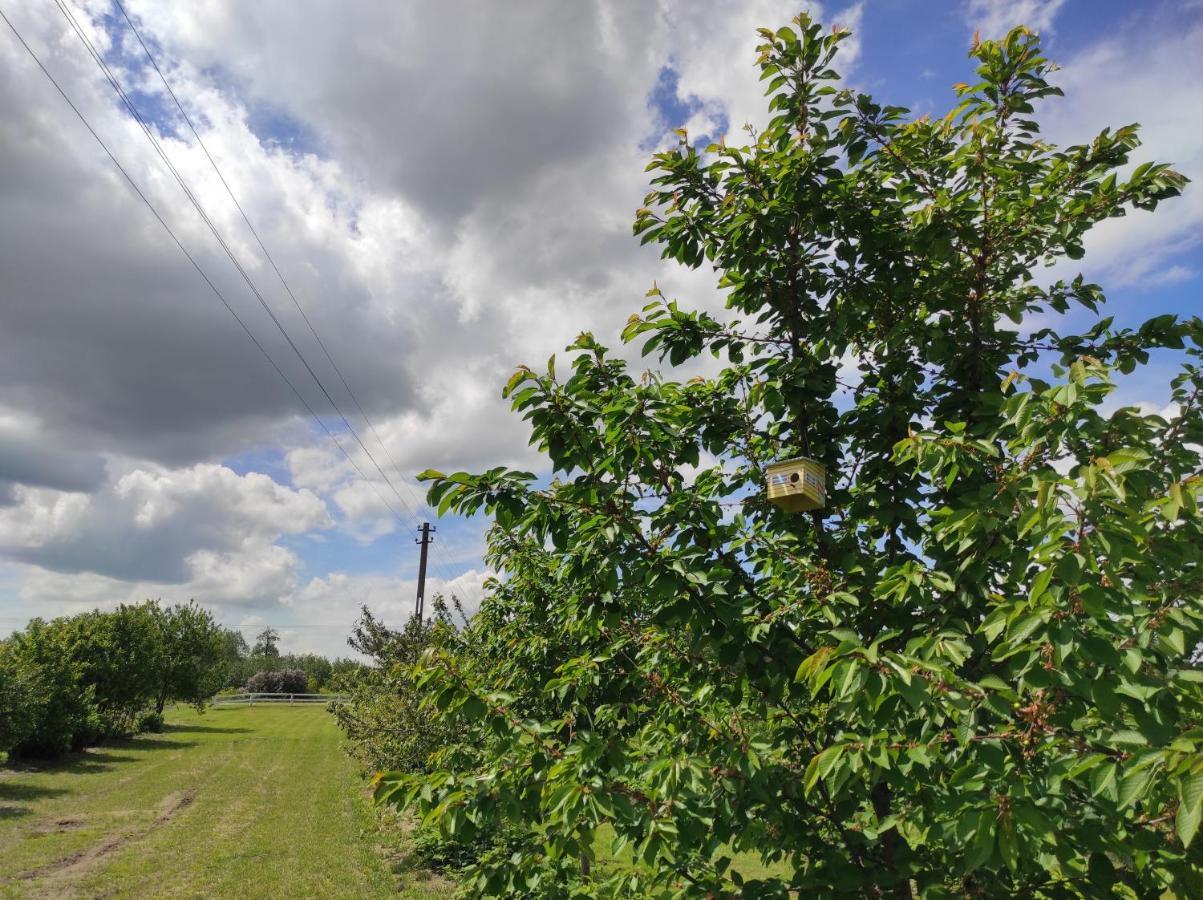 Agroturystyka Kobylnica Nad Wisla Extérieur photo